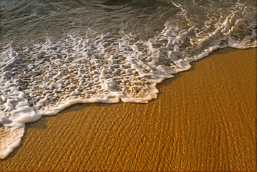 Similar image 8073553