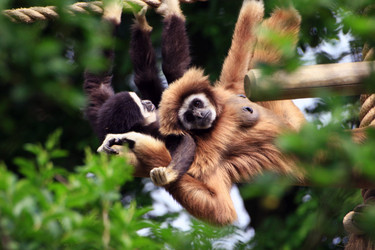 Similar image 8073555