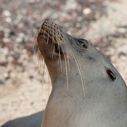 Similar image 8073564