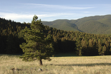 Similar image 8073567