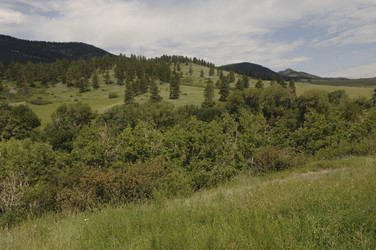 Similar image 8073570