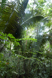 Similar image 8073622