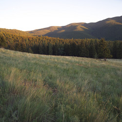 Similar image 8073632