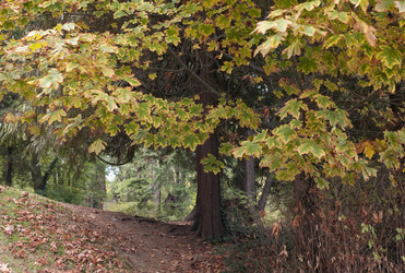 Similar image 8073633