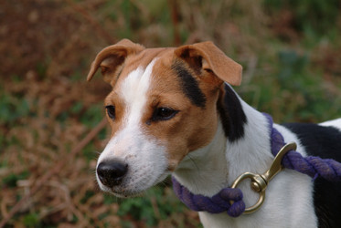 Similar image 8073634