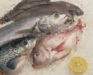 Similar image 8073636