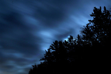 Similar image 8073638