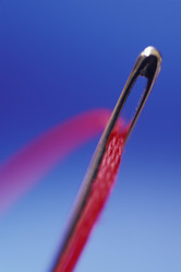 Similar image 8073662