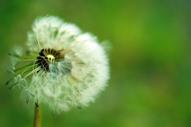 Similar image 8073667