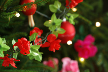 Similar image 8073678