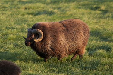 Similar image 8073686