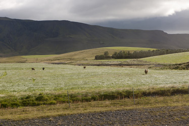 Similar image 8073688