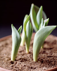 Similar image 8073693