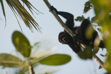 Similar image 8073699