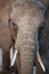 Similar image 8073706