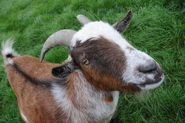 Similar image 8073710