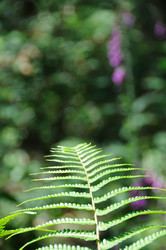 Similar image 8073729