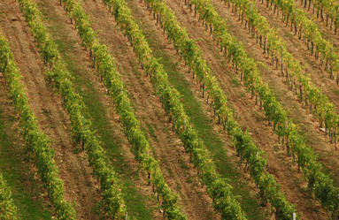 Similar image 8073738