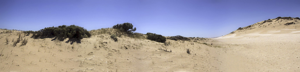 Similar image 8073746