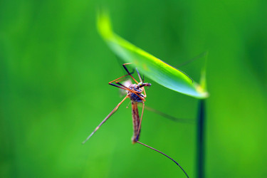 Similar image 8073779