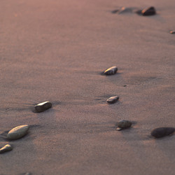 Similar image 8073797