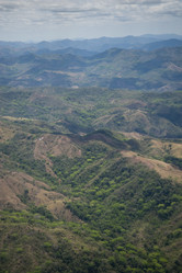 Similar image 8073802