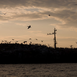 Similar image 8073807