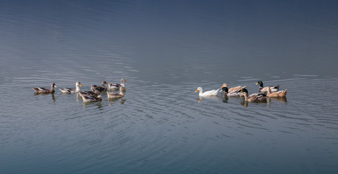 Similar image 8073814