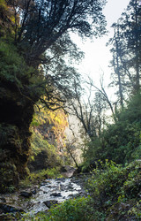 Similar image 8073820