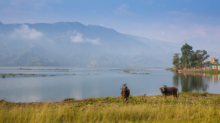 Similar image 8073822