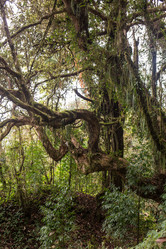 Similar image 8073827