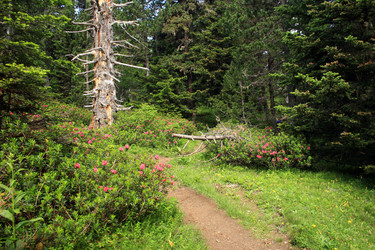 Similar image 8073836