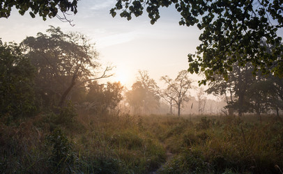 Similar image 8073840