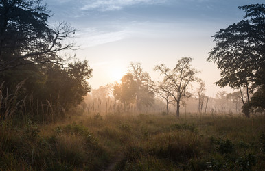 Similar image 8073841