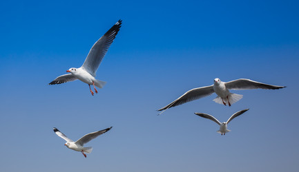 Similar image 8073846