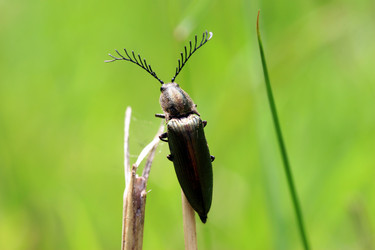 Similar image 8073874