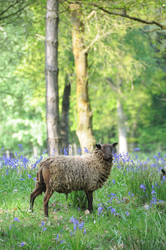 Similar image 8073876