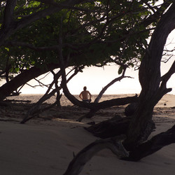 Similar image 8073887