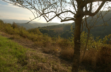 Similar image 8073888