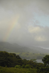 Similar image 8073901