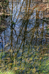 Similar image 8073907