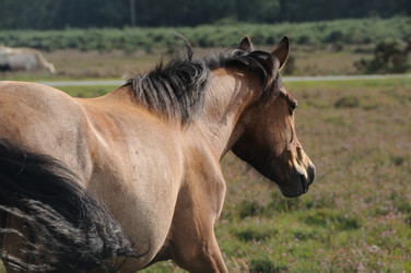 Similar image 8073909