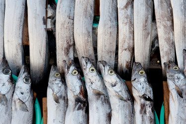 Similar image 8073919