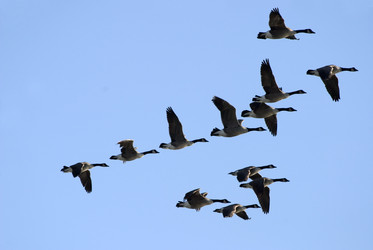 Similar image 8073918