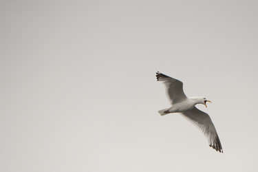 Similar image 8073933