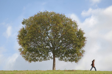 Similar image 8073935