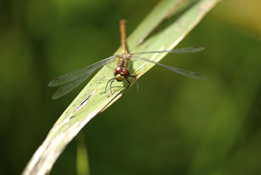 Similar image 8073939