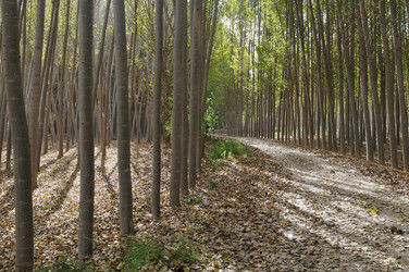 Similar image 8073950