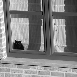 Similar image 8073959