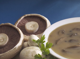 Similar image 8073962